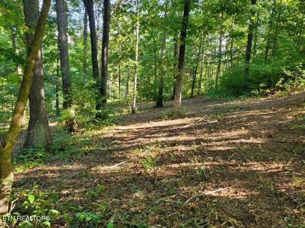 Grove Ln, Clinton, TN 37716