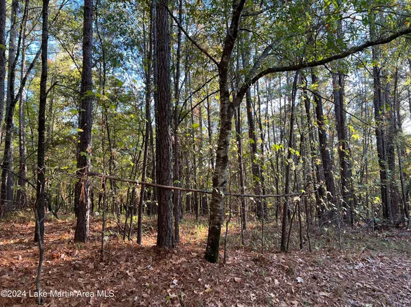 LOT 5 Buckview Ln, Dadeville, AL 36853