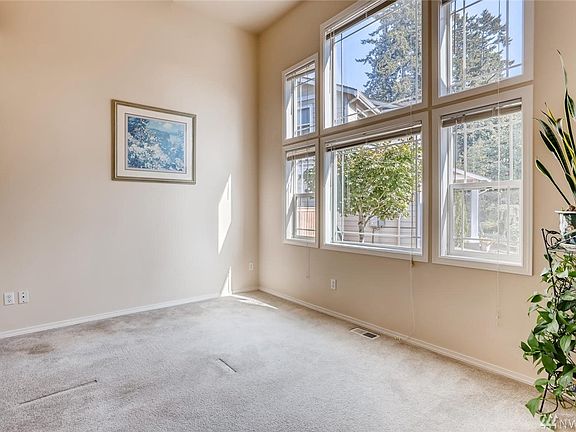 Living room flooded with light!