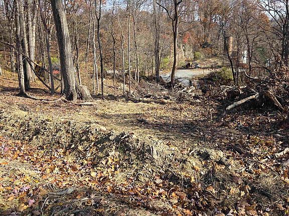 4th image of 0 Old Cheat Rd