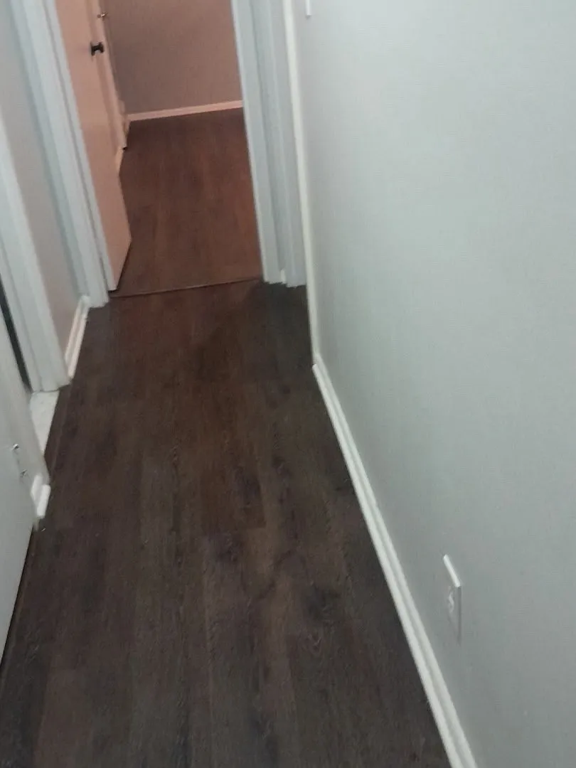 2 bed, 1054 sqft, $1,900 — Photo 4