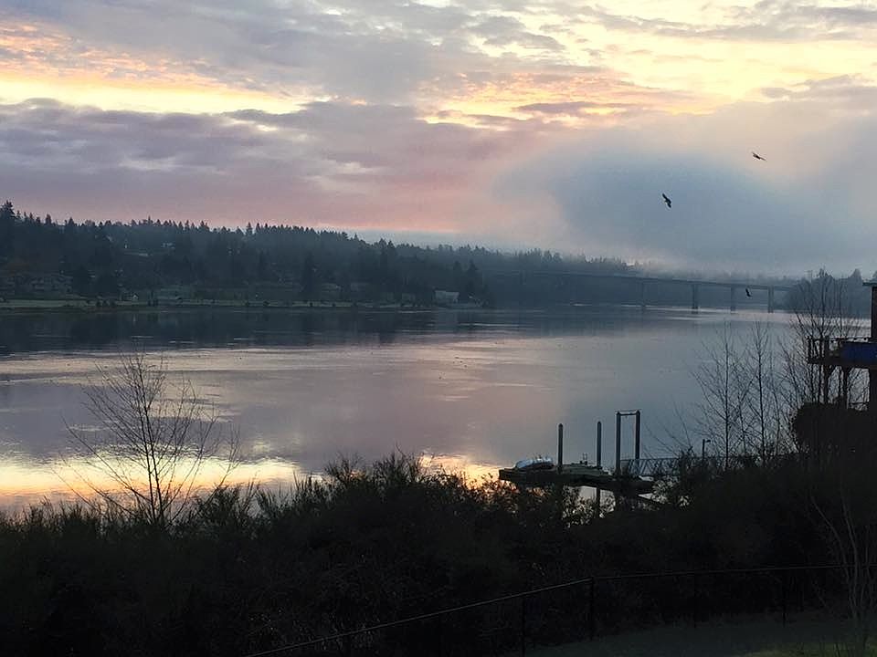 View from the balcony