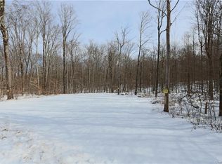 Klinger Rd, Livingston manor, NY 12758