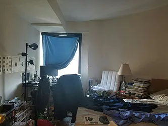 Rented by Manhattan Apartment Organization