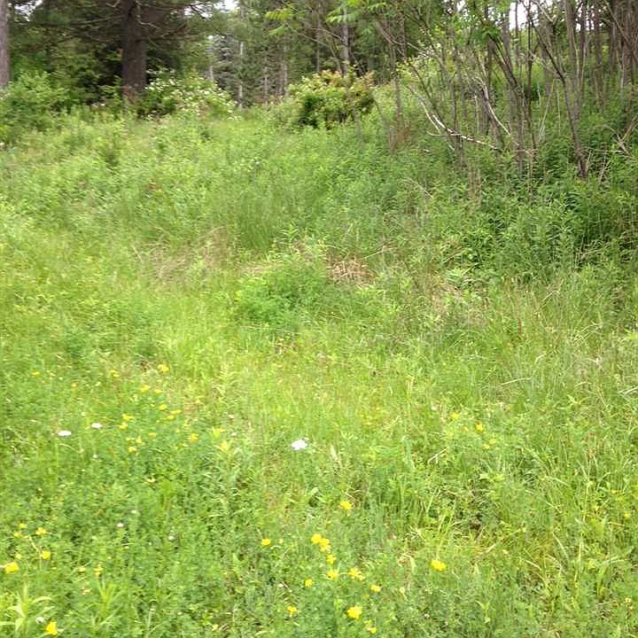 2nd image of 1364 Old Route 17