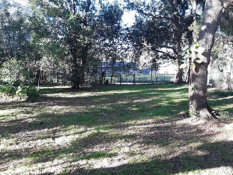 838 Rosalia Dr — Photo 9