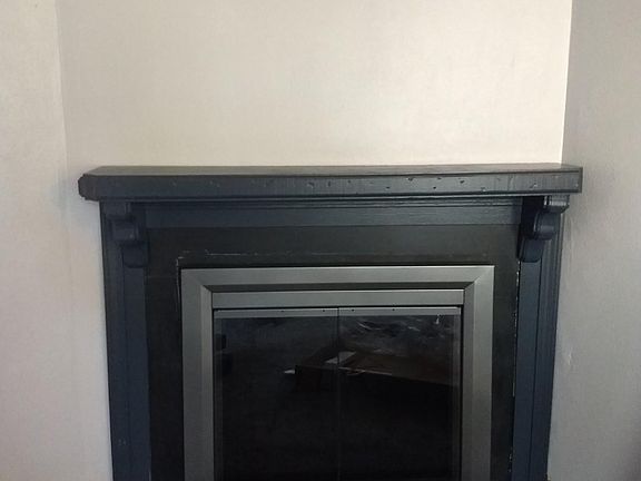 Wood burning fireplace