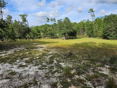 238 Cemetery Rd, Palatka, FL, 32134