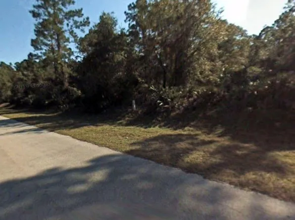 339 Paradise Blvd, Georgetown, FL 32139