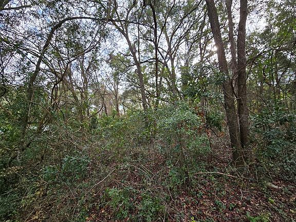 3rd image of LOT 25 NW 167th Pl