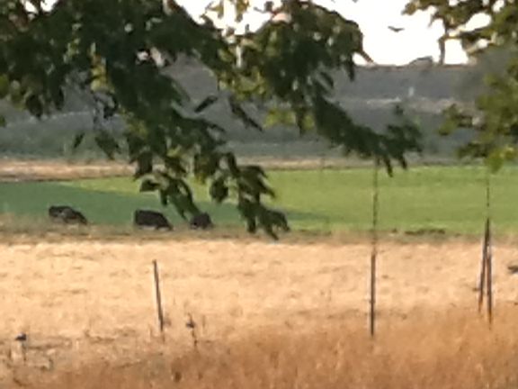 3rd image of 5374 Road 1.8 NE