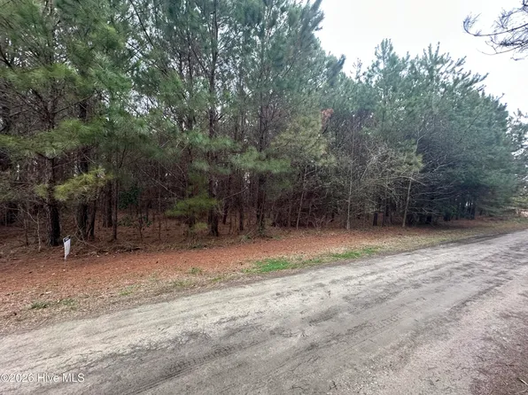 Near 51 Gores Drive, Clarendon, NC 28432