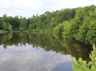 2975 Trenholm Woods Ct, Powhatan, VA 23139