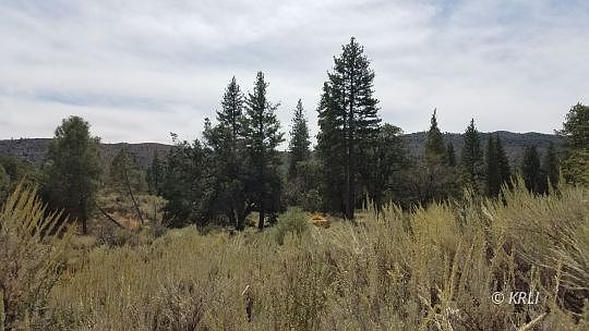 2nd image of Sawmill