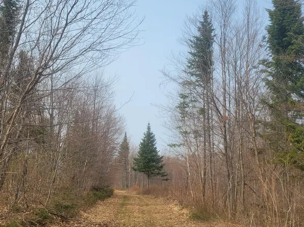 Map19 Lot 1, Grand Isle, ME 04746