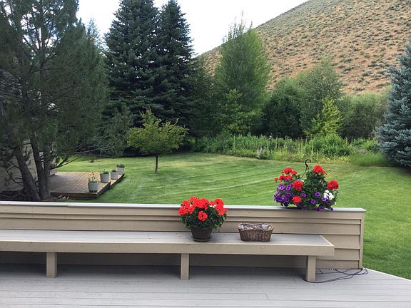 back deck and yard