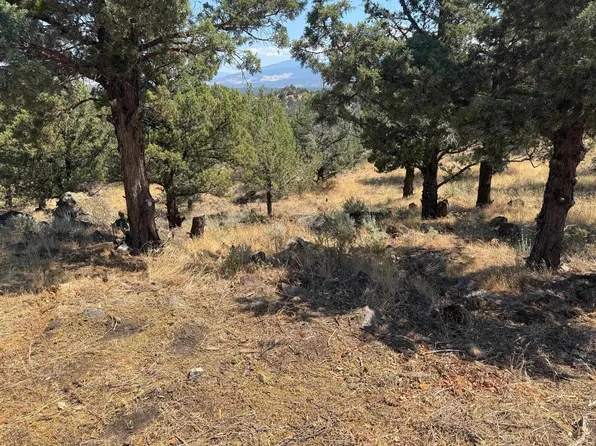 2 Blackhawk Dr Lot 39, Weed, CA 96094