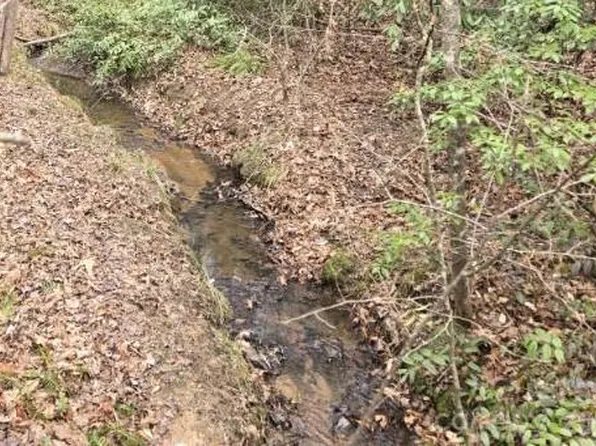 575 Shannons Walk, Lake Lure, NC 28746