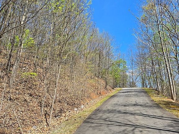 5th image of LOT 18 Overlook Loop