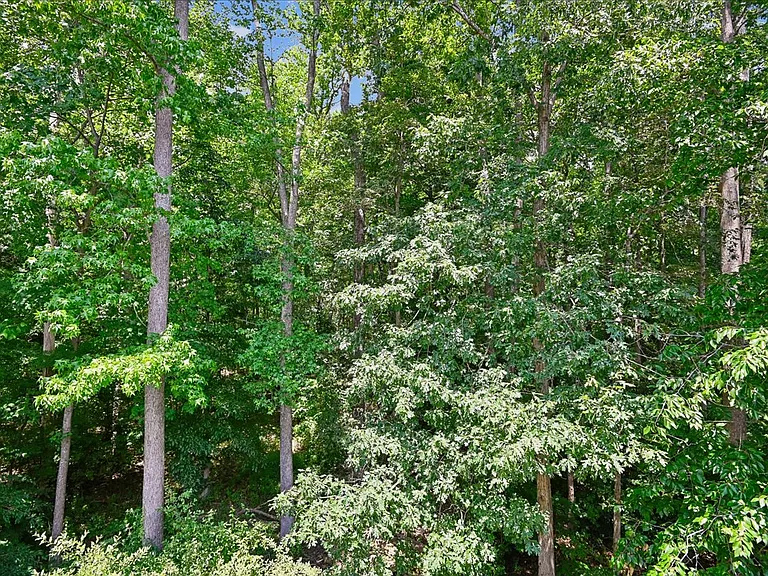 441 Penwood Dr — Photo 29