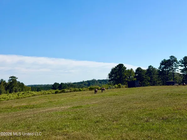 2416 Lake Lincoln Dr NE, Wesson, MS 39191