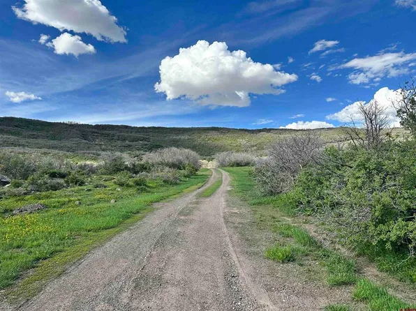 25137 Starner Loop Road, Cedaredge, CO 81413