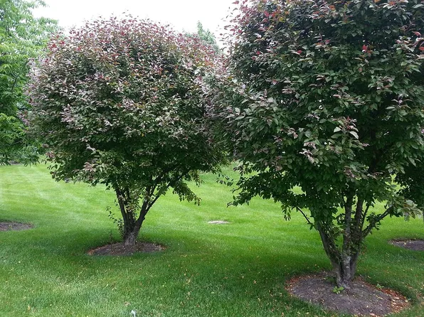 656 Morris Ct, Lakemoor, IL 60051