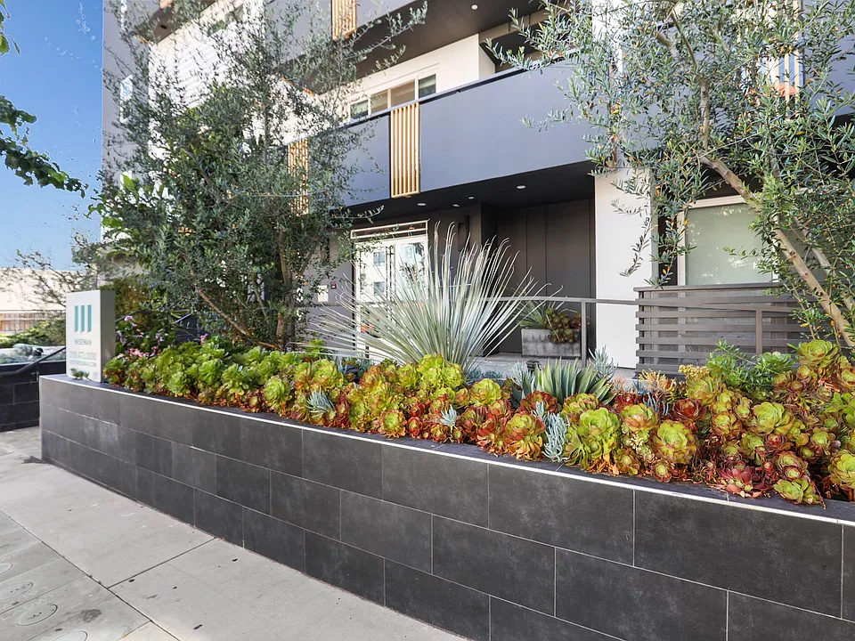 Sidewalk View of Tamarind Emerald by Wiseman
