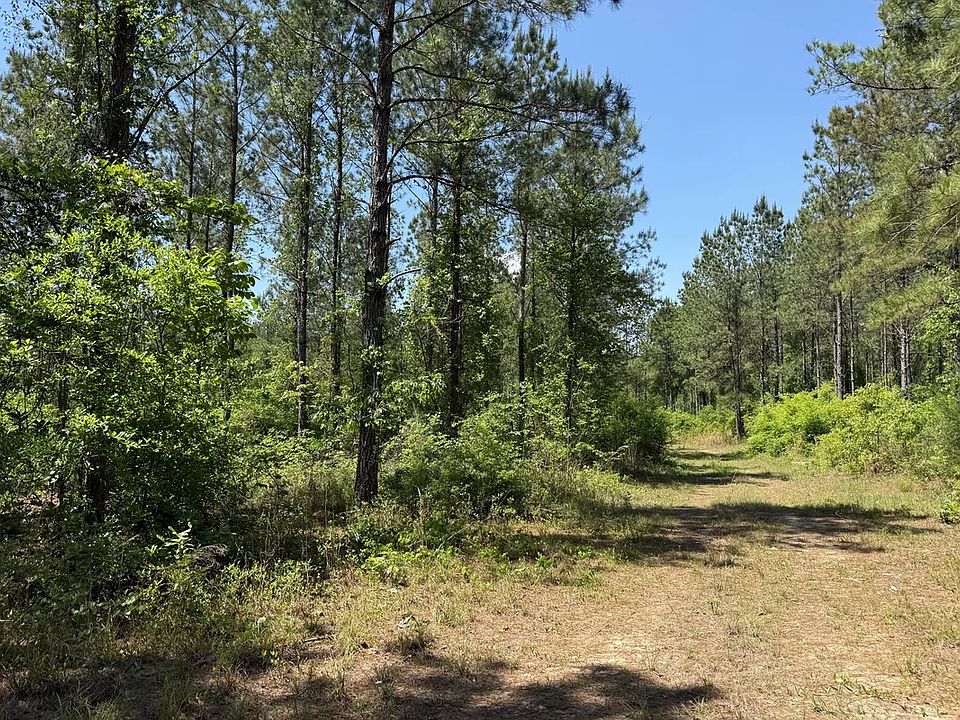 1st image of Sowhatchee Rd