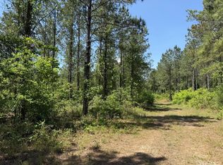 Sowhatchee Rd, Blakely, GA 39823