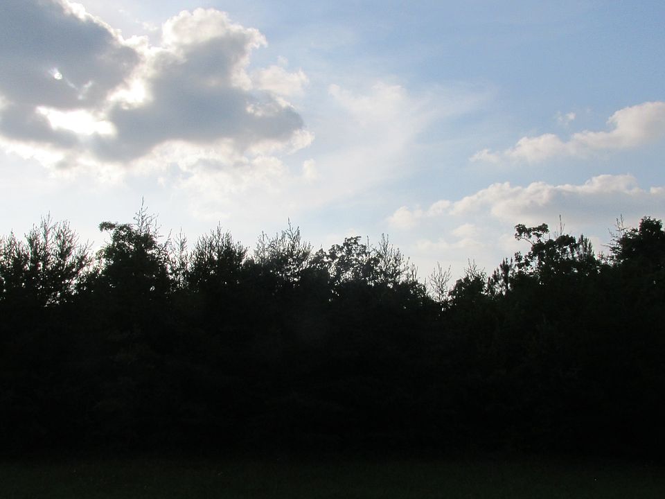 2nd image of Pioneer Lane- Hawks Bluff