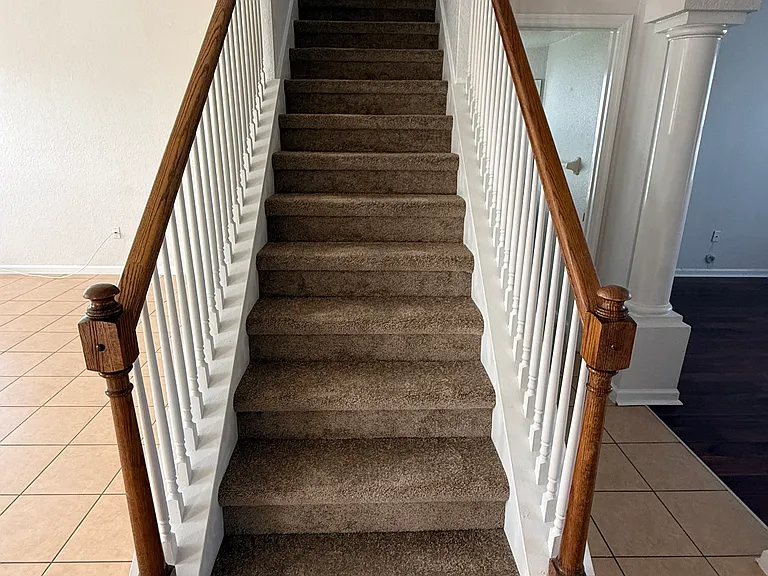 New Carpet-1