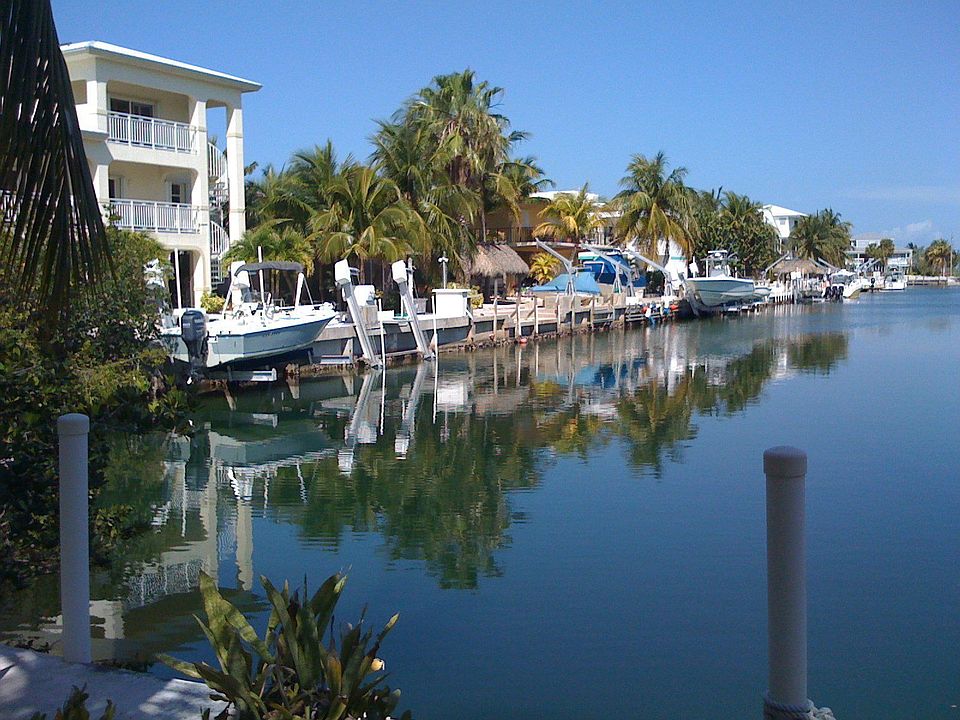 View from Tiki