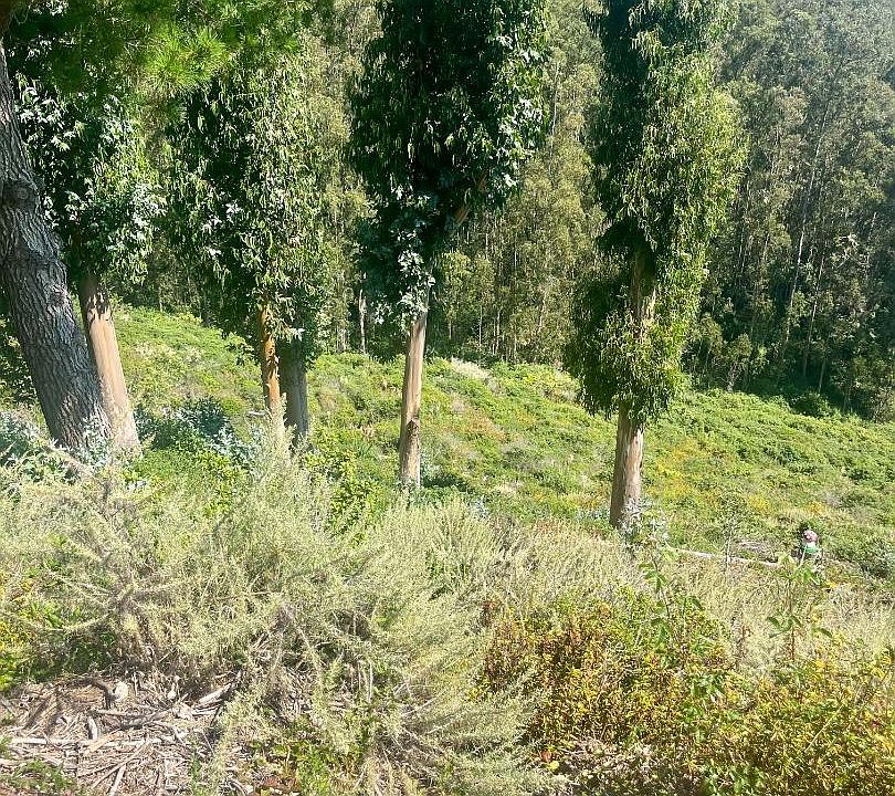 124 Dolphine Ave, El Granada, CA 94018 MLS ML81939941 Zillow