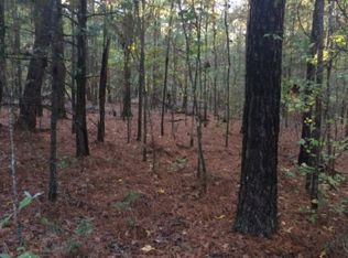 8961 Warm Springs Rd, Midland, GA 31820