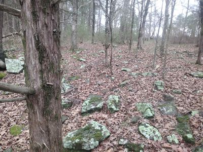 TRACT 3 Highway 14 E, Mountain View, AR, 72560