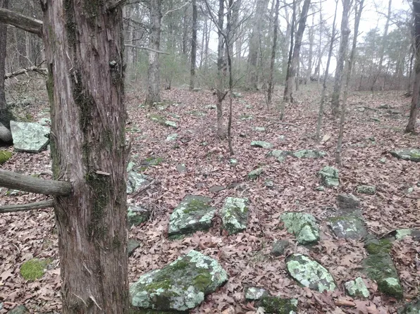 TRACT 3 Highway 14 E, Mountain View, AR 72560