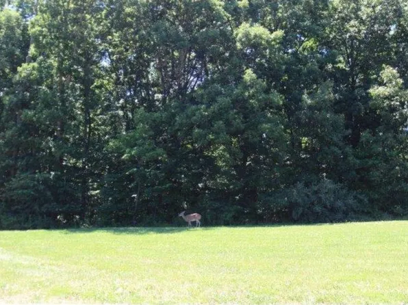 LOT 9 Reserves Ct, Charleston, IL 61920