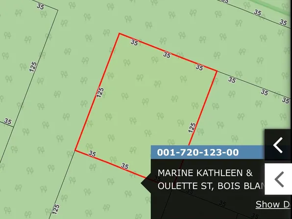 21-23B11 Oulette St, Pointe Aux Pins, MI 49775