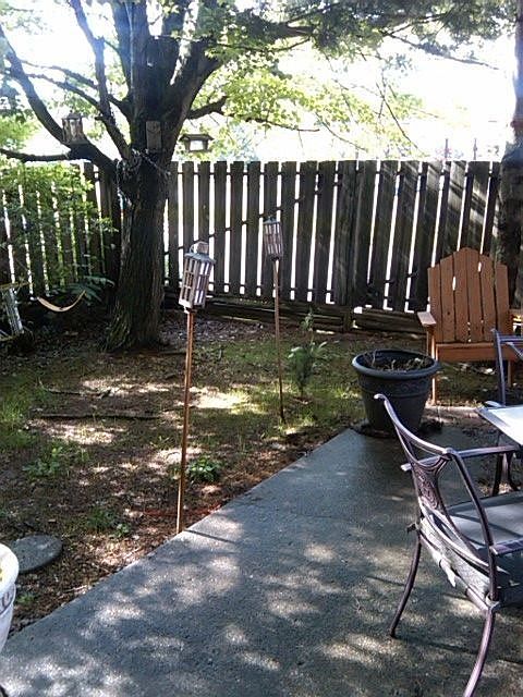 Backyard - More photos to come!