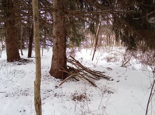 7714 Sidley Rd, Thompson, OH 44086