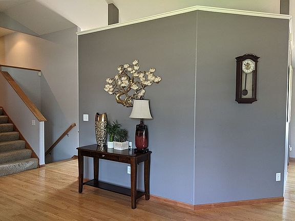 Main level entry way