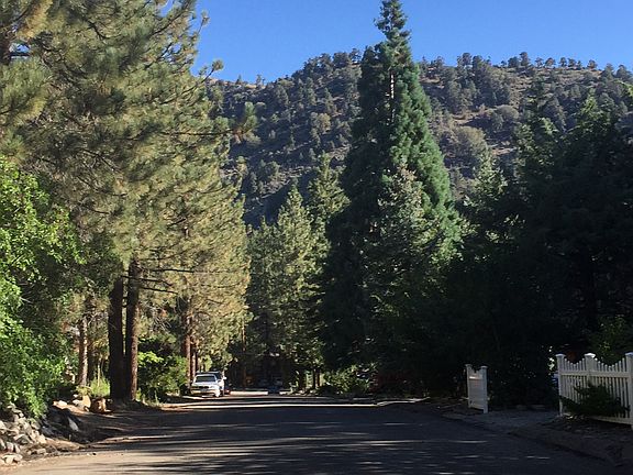 2nd image of Conifer Dr