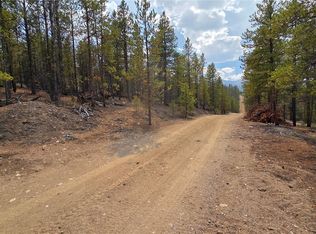 67 Lodgepole Drive LOT 45, Leadville, CO 80461