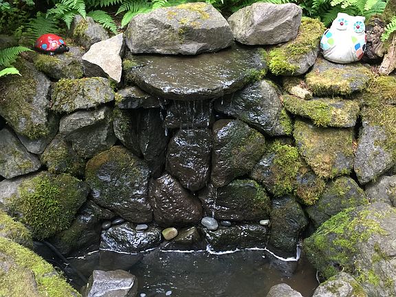 Water Feature