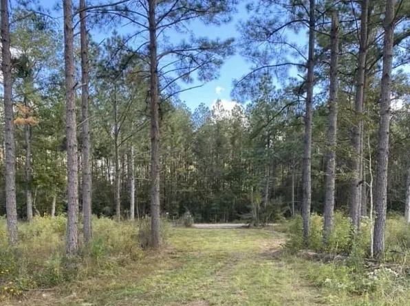 380 Martin Tram Rd, Reeves, LA 70658