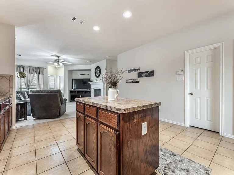 12044 Ringtail Dr — Photo 19
