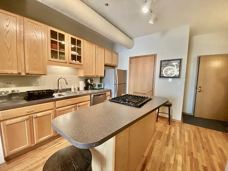 910 S Michigan Ave #1308 — Photo 6