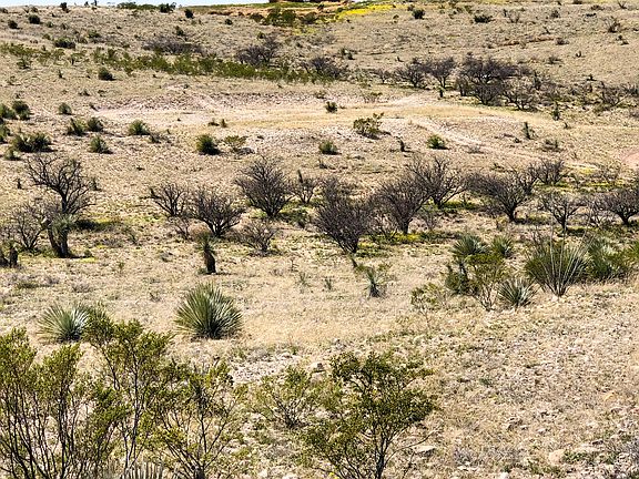5th image of N Broken Saddle Rd