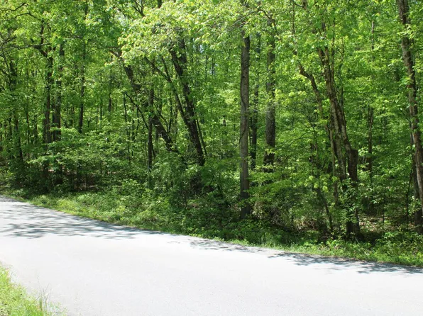 Lot29/30 Eagle Furnace Rd, Rockwood, TN 37854